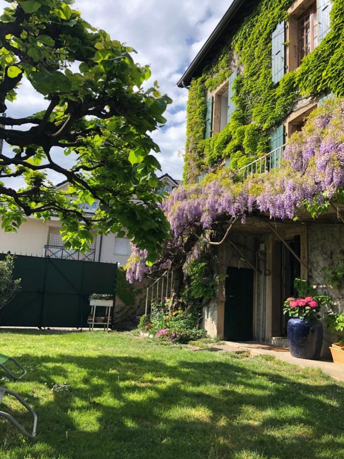 Le Clos Des Fontaines Thonon-les-Bains Extérieur photo
